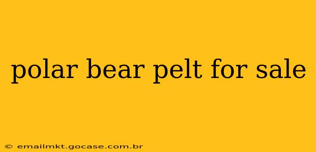 polar bear pelt for sale