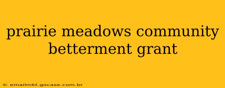 prairie meadows community betterment grant