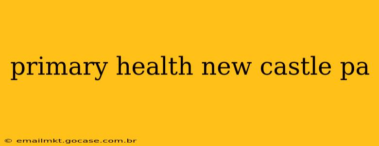 primary health new castle pa