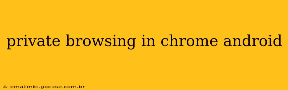 private browsing in chrome android