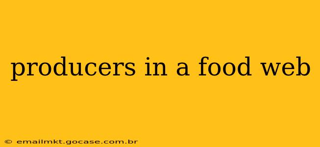producers in a food web