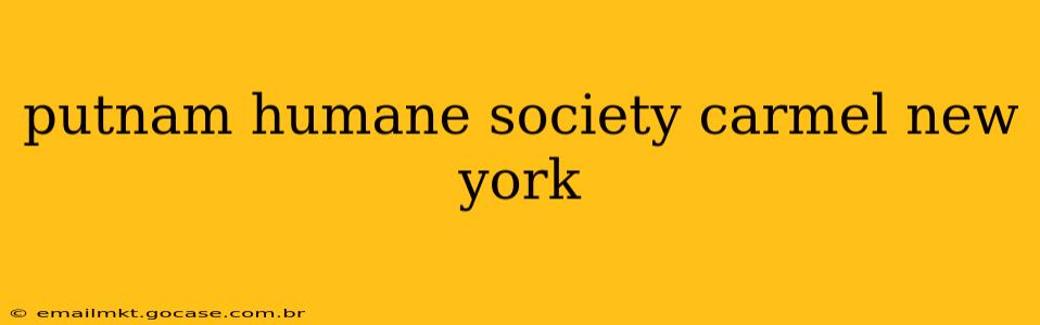 putnam humane society carmel new york