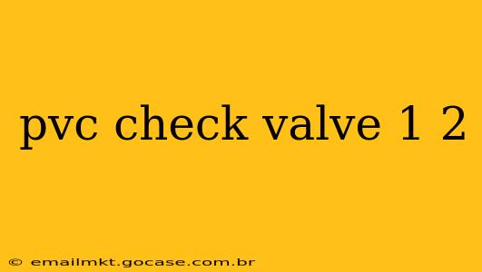pvc check valve 1 2