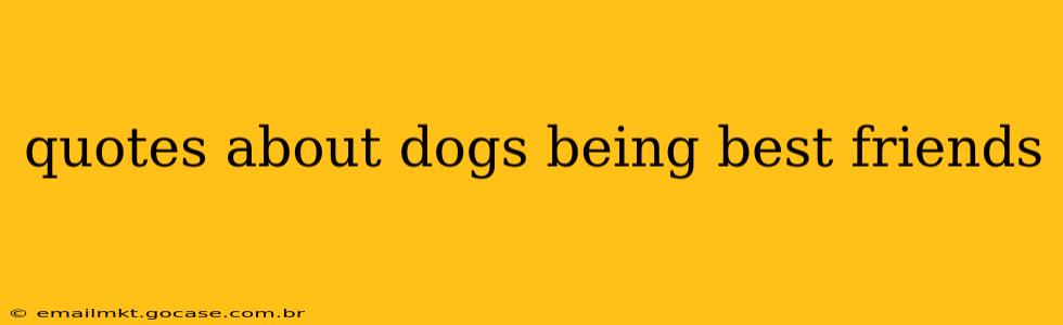 quotes about dogs being best friends