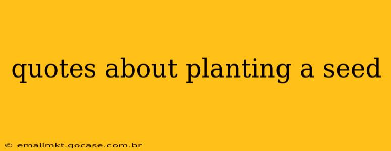 quotes about planting a seed