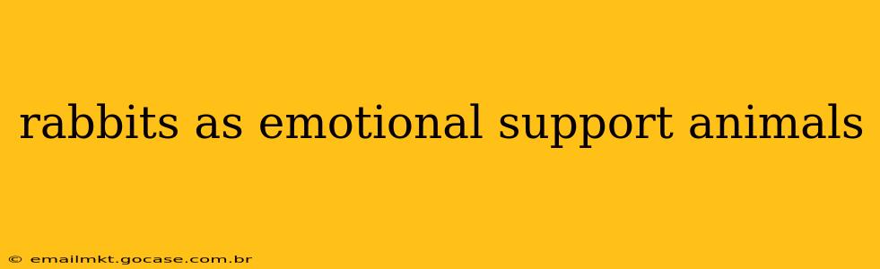 rabbits as emotional support animals