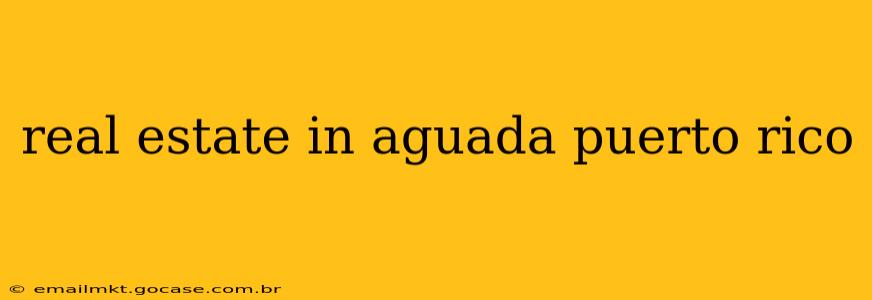 real estate in aguada puerto rico