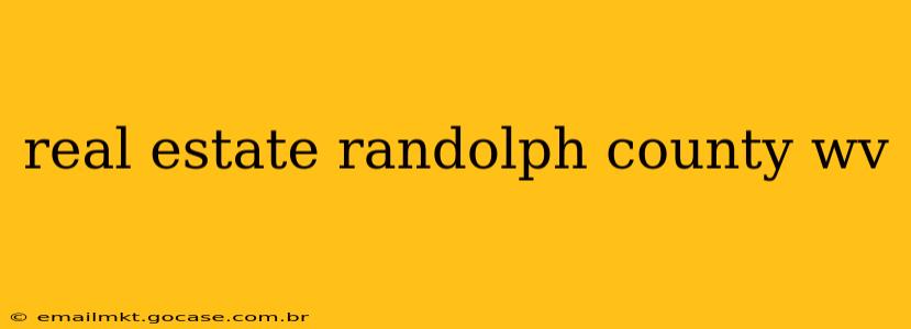 real estate randolph county wv