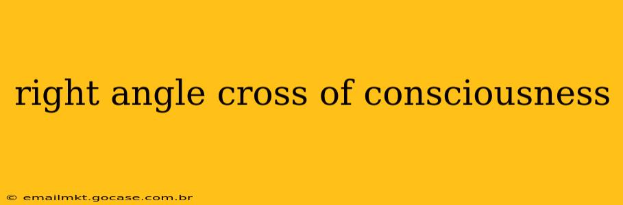 right angle cross of consciousness