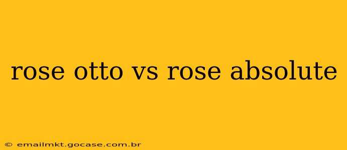 rose otto vs rose absolute