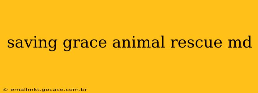saving grace animal rescue md