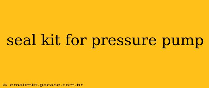 seal kit for pressure pump