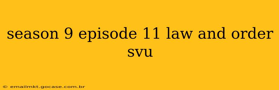 season 9 episode 11 law and order svu