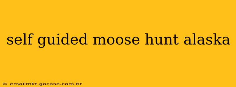 self guided moose hunt alaska
