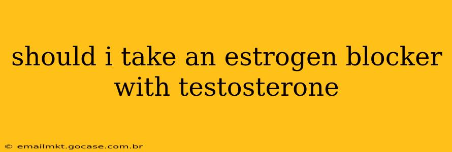 should i take an estrogen blocker with testosterone