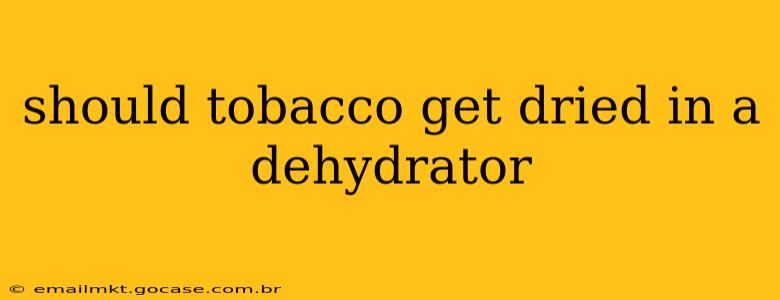 should tobacco get dried in a dehydrator
