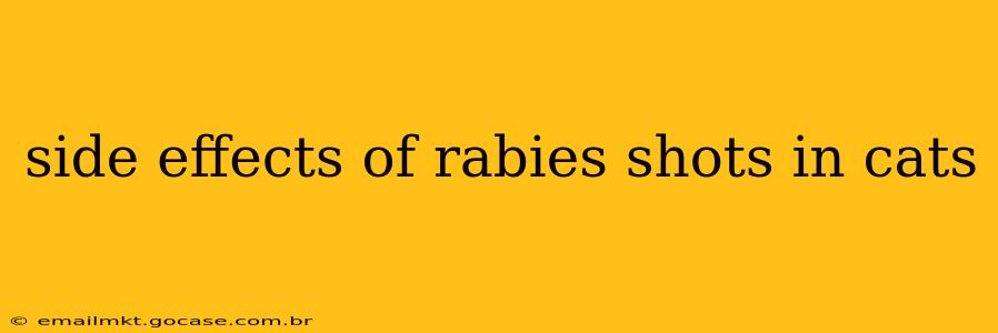 side effects of rabies shots in cats