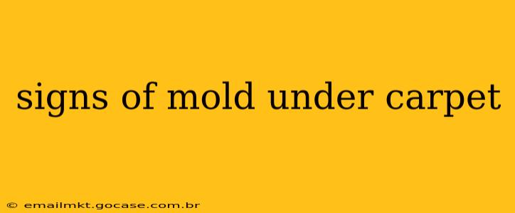 signs of mold under carpet