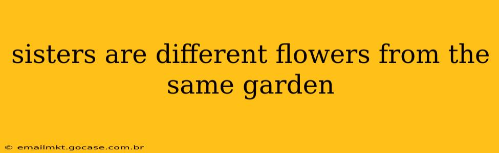 sisters are different flowers from the same garden