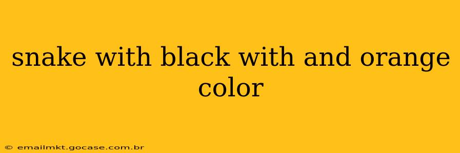 snake with black with and orange color