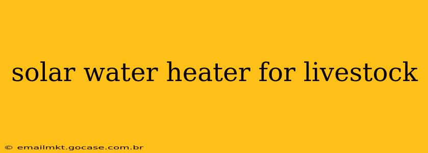 solar water heater for livestock