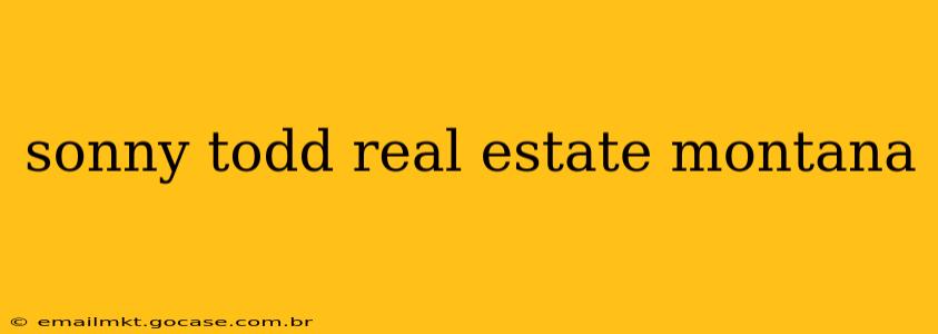 sonny todd real estate montana