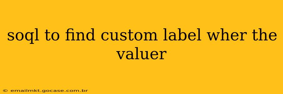 soql to find custom label wher the valuer