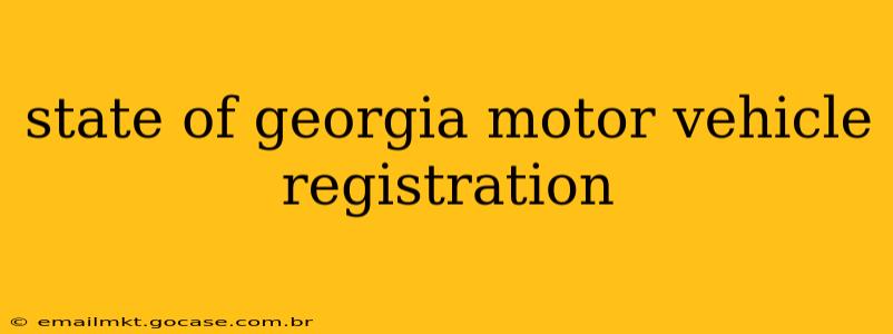 state of georgia motor vehicle registration