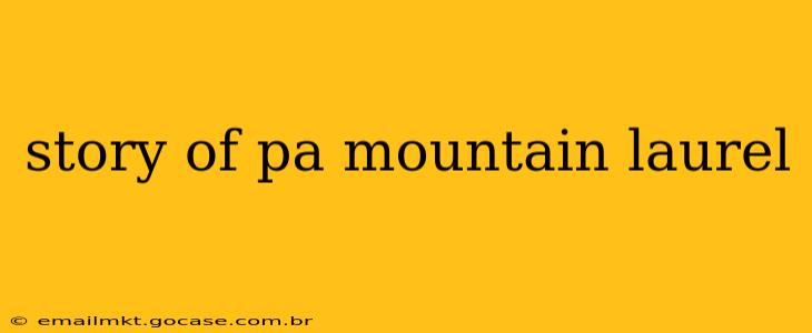 story of pa mountain laurel