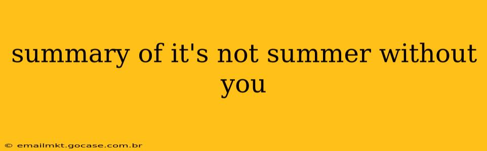 summary of it's not summer without you