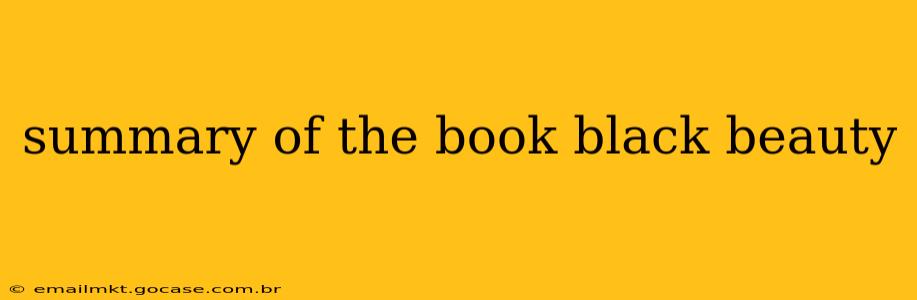 summary of the book black beauty