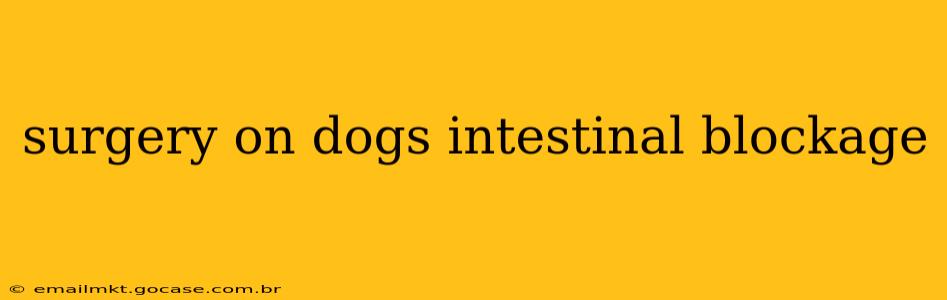 surgery on dogs intestinal blockage