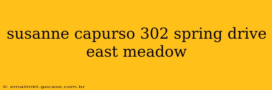 susanne capurso 302 spring drive east meadow