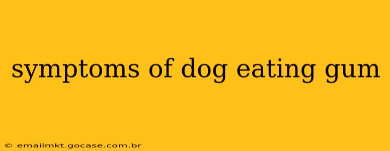 symptoms of dog eating gum