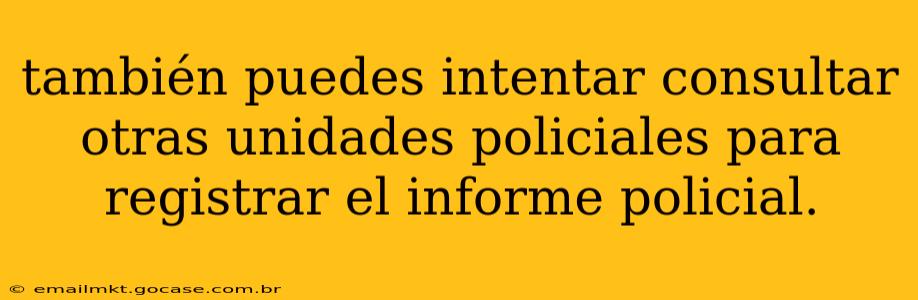 también puedes intentar consultar otras unidades policiales para registrar el informe policial.