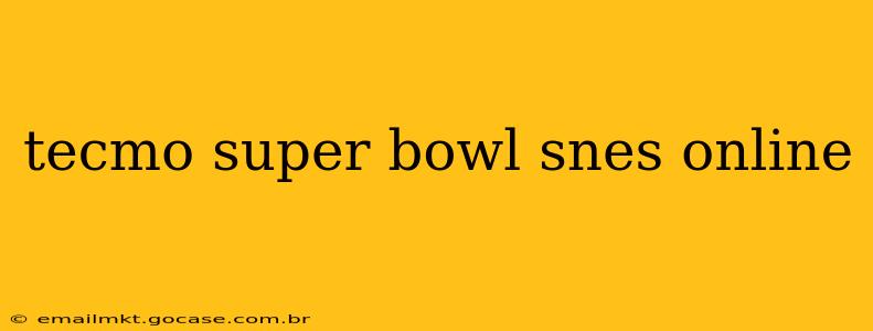 tecmo super bowl snes online