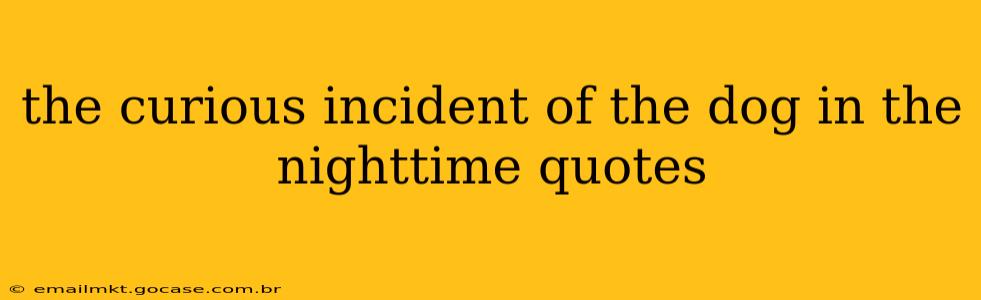 the curious incident of the dog in the nighttime quotes