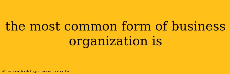 the most common form of business organization is