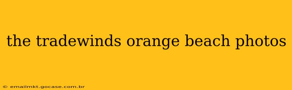 the tradewinds orange beach photos