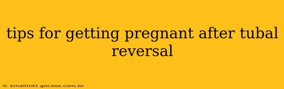 tips for getting pregnant after tubal reversal