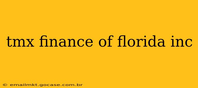 tmx finance of florida inc
