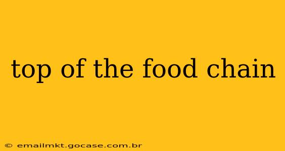 top of the food chain