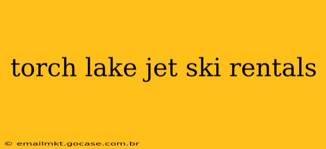 torch lake jet ski rentals