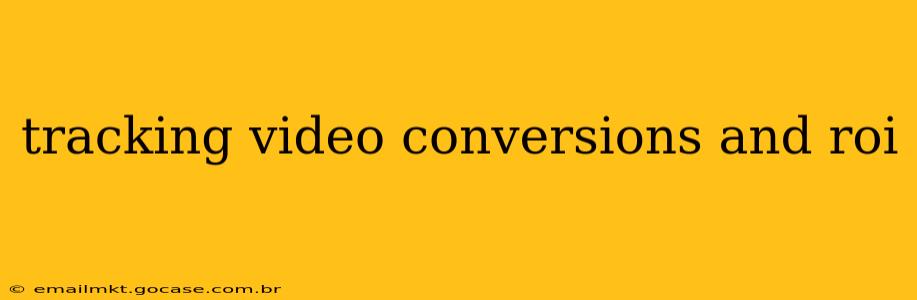 tracking video conversions and roi