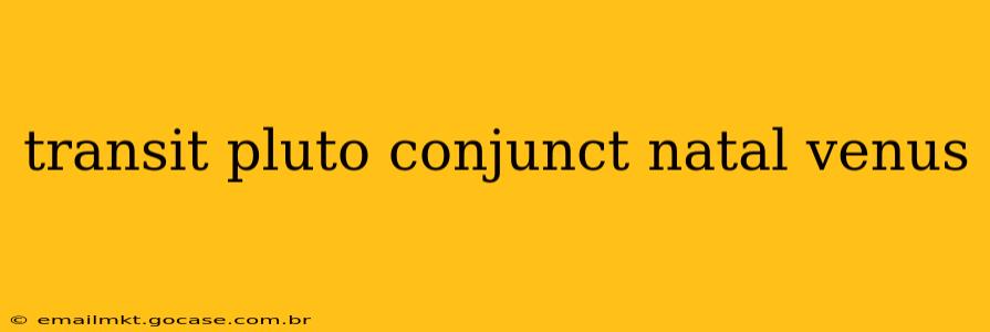 transit pluto conjunct natal venus