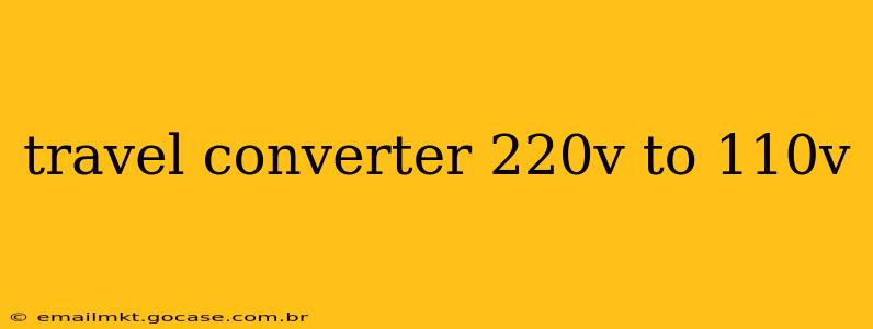 travel converter 220v to 110v