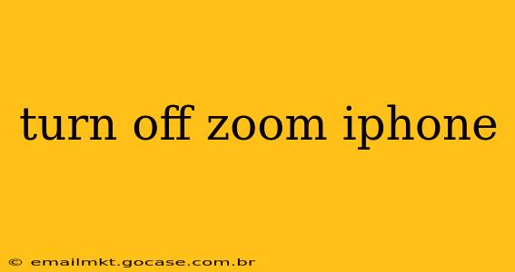 turn off zoom iphone