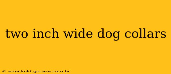 two inch wide dog collars
