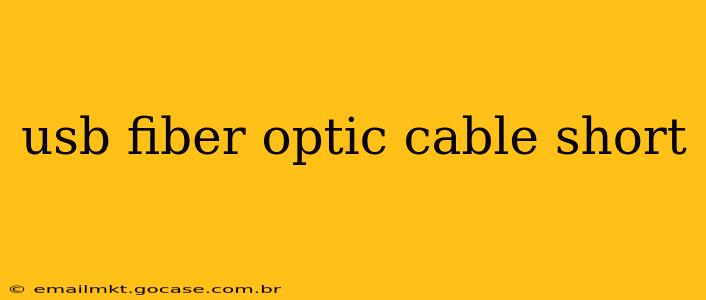 usb fiber optic cable short