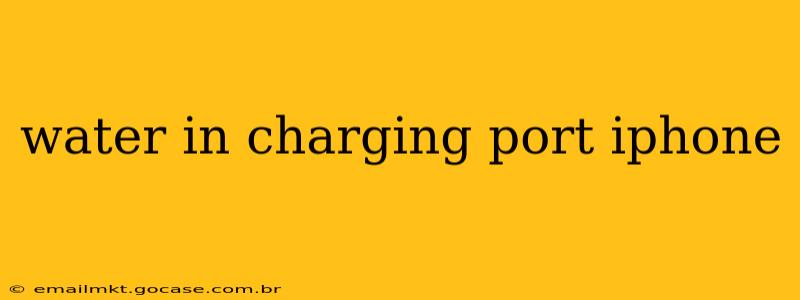 water in charging port iphone